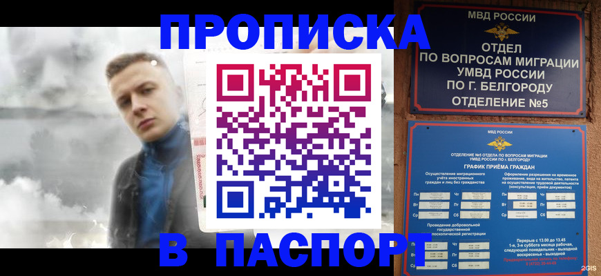временная регистрация в Мурманской области